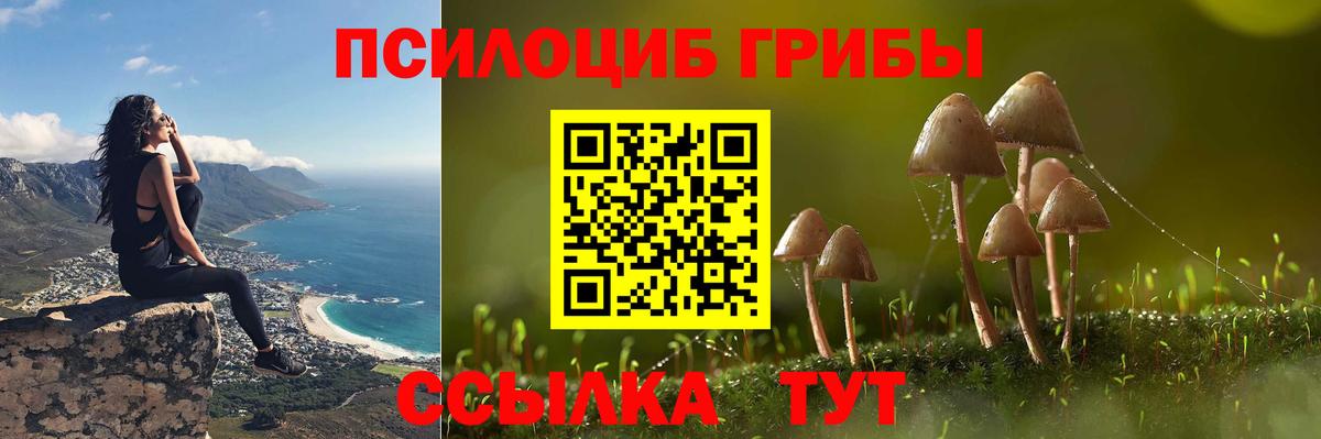 Галлюциногенные грибы Magic Shrooms Ессентуки